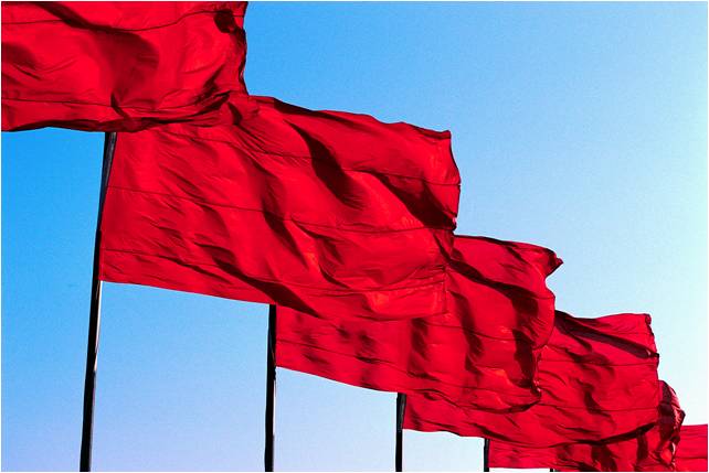 Organisational red flags